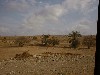 dscf0037.jpg