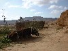 dscf0038.jpg