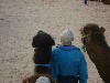 dscf0056.jpg