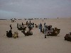 dscf0063.jpg