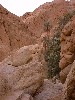 dscf0077.jpg