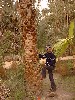 dscf0087.jpg