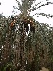 dscf0088.jpg
