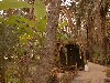 dscf0089.jpg