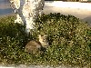 dscf0111.jpg