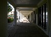 032_Douglas_Gardens1.jpg