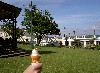 034_Douglas_Gardens2.jpg