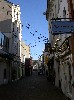 041_Douglas_Street.jpg