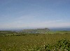 049_Calf_of_Man2.jpg