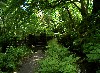 093_Silverdale_Glen.jpg