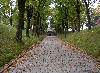 PICT1299.JPG