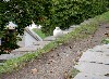 PICT1302.JPG
