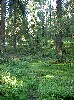 PICT1417.JPG