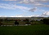 PICT1428.JPG