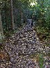 PICT1430.JPG