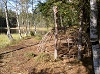 PICT1454.JPG