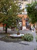 PICT2847.jpg