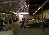 PICT3221.jpg