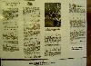 PICT3771.JPG