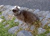 PICT4002.JPG