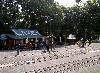 PICT4008.JPG