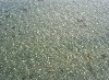 PICT4022.JPG