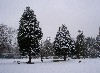 PICT4616.JPG