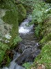 PICT0027.jpg
