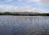 PICT0049.jpg