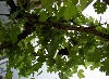 PICT0080.jpg