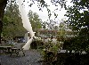 PICT0089.jpg