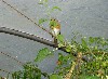 PICT0107.jpg