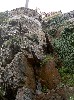 PICT0137.jpg