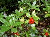 PICT0200.jpg