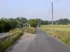 pict0072_th.jpg (6759 bytes)