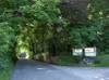 pict0073_th.jpg (8564 bytes)