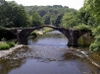 pict0088_th.jpg (8484 bytes)